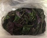梅漬け用もみしそ(冷凍保存)作り方1写真