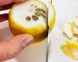 レモン酒作り方4写真