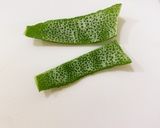 レモン酒作り方7写真
