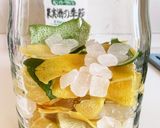 レモン酒作り方9写真