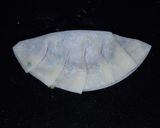 なるほど！付け水なし　餃子の包み方作り方1写真