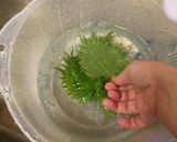 大葉の保存　生花風作り方1写真