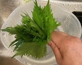 大葉の保存　生花風作り方2写真