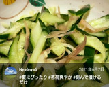 簡単♪きゅうりとミョウガの浅漬け作り方23写真