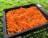 焼き上手さん キャンプ飯 オムライス作り方2写真