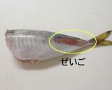 アジを捌いてアジサンド（と、骨せんべい）作り方2写真