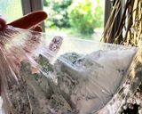 ほろ苦さが美味しいゴーヤの唐揚げ作り方2写真