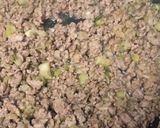 豚挽き肉の香味炒め作り方7写真
