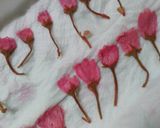 春~桜のシフォンケーキ作り方1写真