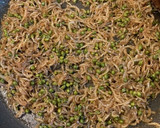 山椒の実を買ったらちりめん山椒♪作り方9写真