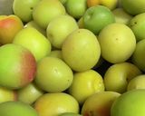 我が家の梅干し★柔らかくて美味しいの作り方6写真