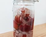 すもも酒作り方4写真