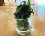 大葉の保存方法作り方4写真