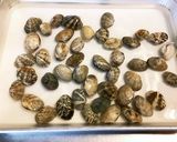 超楽々 ガッテン流アサリの味噌汁作ります作り方2写真