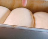 冷蔵中種　2斤食パン作り方15写真