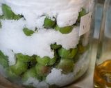 青梅を使った梅シロップ（梅ジュース）作り方7写真