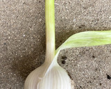 簡単　手作り✨にんにくの醤油漬け作り方3写真