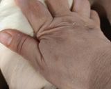 フランスパン＆明太フランスパン作り方12写真