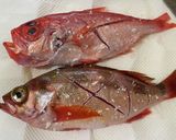 金目鯛の姿蒸し『きのう何食べ』#141作り方1写真