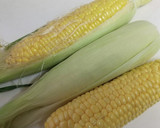 とうもろこしの美味しい茹で方作り方1写真