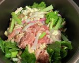 ほったらかしで超簡単★肉豆腐作り方2写真