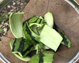 子どももポリポリ★スイカの皮の浅漬け作り方9写真