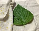 エゴマの葉のキムチ作り方1写真