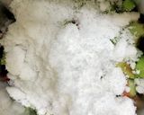 手作りルバーブジャム☆ルバーブバターも作り方3写真