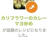 カリフラワーのカレーマヨ炒め作り方19写真