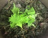 酸味まろやか赤紫蘇ジュース(濃縮タイプ)作り方4写真