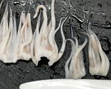 イカわたパスタ作り方5写真