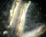 いんげん・にんじん・ソーセージ♠天ぷら作り方4写真