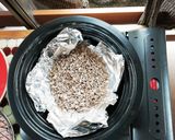 スモークポットで作る卵黄の燻製(1週間)作り方3写真