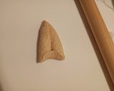 手捏ね全粒粉ロール&コッペパン作り方12写真