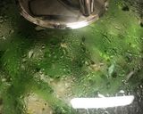 いい仕事する平日便利な野菜蒸し:作り置き作り方2写真