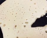 我が家流　広島焼き(^^)作り方3写真