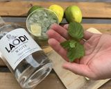 【無農薬ラム酒】無糖ヘルシーモヒート作り方8写真
