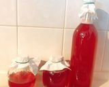 発酵の恵み！梅酵素シロップ（季節の果物）作り方18写真