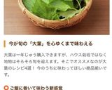 もちもち食感 大葉餅【大葉大量消費】作り方4写真