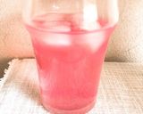 発酵の恵み！梅酵素シロップ（季節の果物）作り方19写真