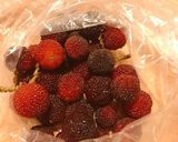 発酵の恵み！梅酵素シロップ（季節の果物）作り方23写真