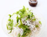 定番&手軽な【しらすおろし(ぽん酢)】作り方2写真
