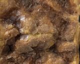 Best簡単チーズケーキパイ作り方8写真