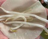 ひき肉とニラともやしで包まない簡単餃子作り方1写真