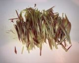 ミョウガの甘酢漬け作り方1写真