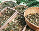 デトックスに♪おうちでドクダミ茶作ろ！作り方2写真