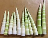 ネマガリダケのおかか揚げ作り方1写真