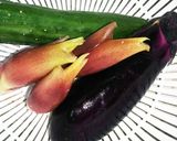 56　山形　ばあちゃんの　ダシ作り方4写真
