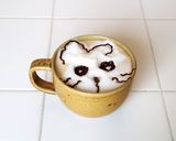 カフェラテ【ミルクフォーマー専用カップ】作り方14写真