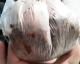 簡単ザクザククッキー(ココア)作り方3写真
